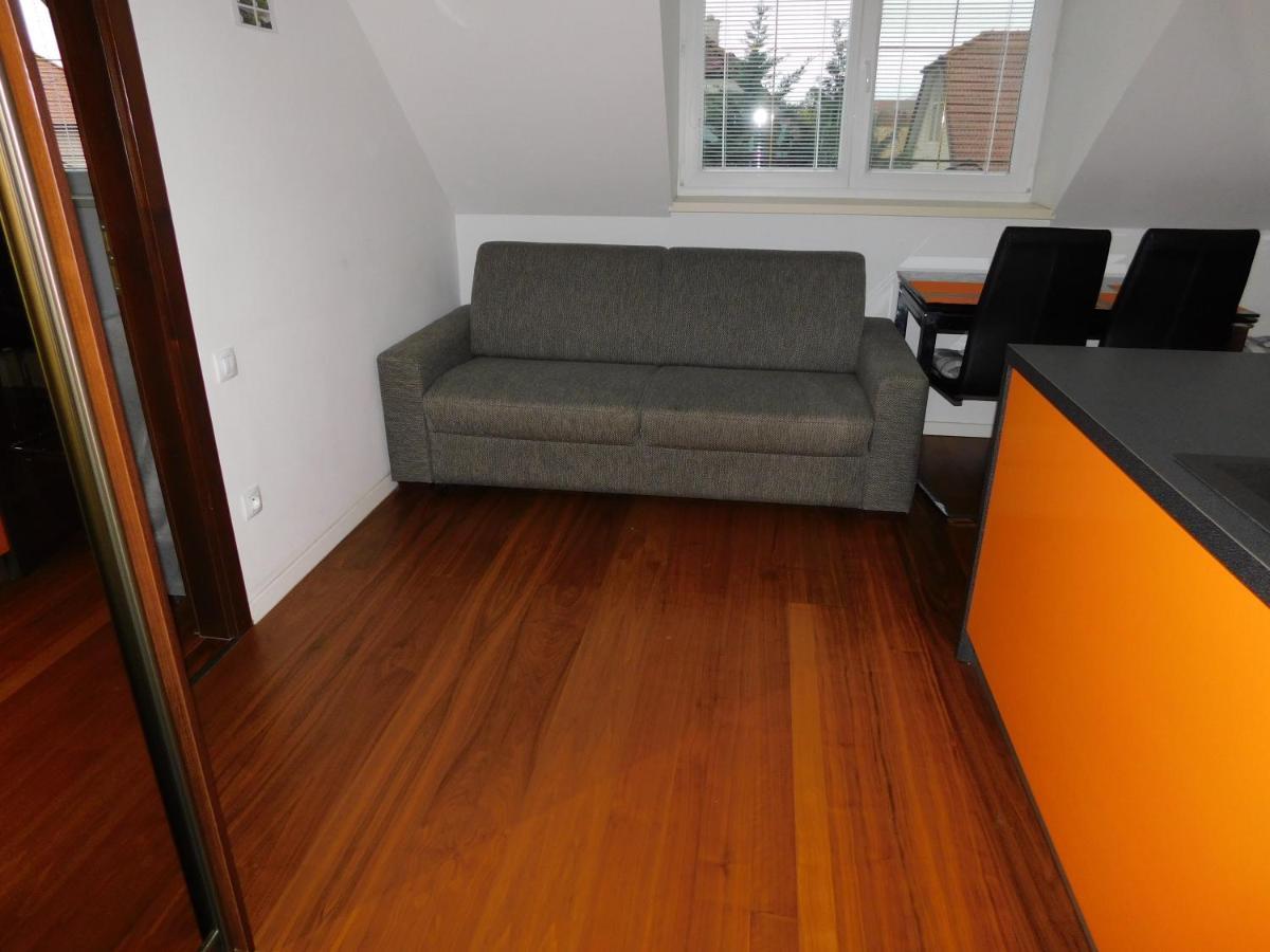 Apartmanovy Penzion 波切尼斯 外观 照片